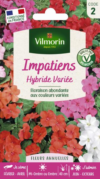Fleurs - Impatiens Hybride Variée - PACKAGING_RECTO